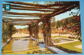Postais: POSTAL DE MADRID. AÑO 1964. ESTANQUE EN LA ROSALEDA, PARQUE DEL OESTE. 1211